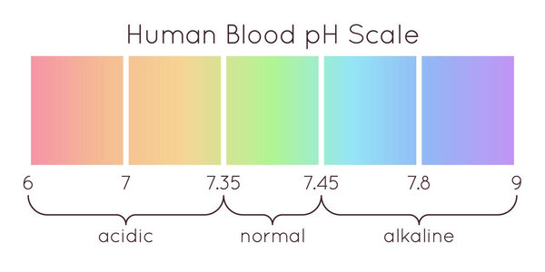 векторная шкала ph человеческой крови. кислый до нормальной щелочной диаграммы. индикатор радужной лабораторной бумаги. Научная концепция. спектр измерения баланса.