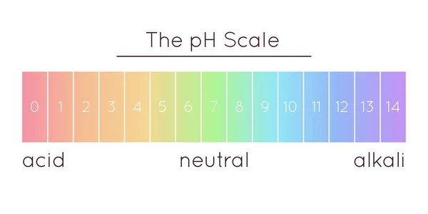 Vector Scale Acidic Normal Alkaline Diagram Rainbow Laboratory Paper Indicator — Vettoriale Stock