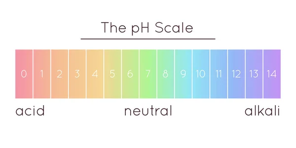 Vector Scale Acidic Normal Alkaline Diagram Rainbow Laboratory Paper Indicator — Vector de stock