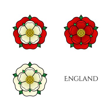 Tudor gül vektörü izole edilmiş simgeler ayarlandı. İngiltere 'nin geleneksel kraliyet amblemi. Lancaster ve York 'taki güllerin savaşı.