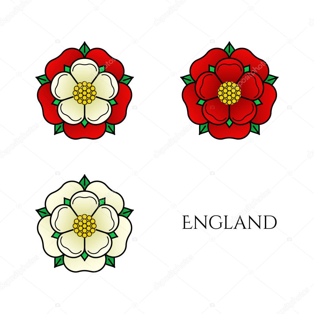 Tudor rose vector isolated icons set. Traditional heraldic emblem of England. The war of roses of houses Lancaster and York.