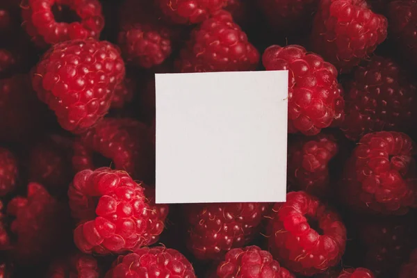 Λευκό Φύλλο Χαρτιού Για Κείμενο Στο Φόντο Ώριμων Μεγάλων Κόκκινων — Φωτογραφία Αρχείου