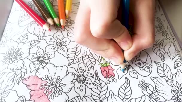 Download 17 599 Coloring Stock Videos Royalty Free Coloring Footage Depositphotos