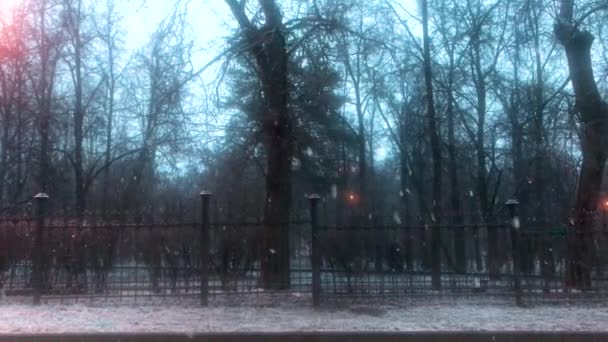 Вечір Міському Парку Перший Сніг Автомобілі Проїжджають Через Паркан — стокове відео