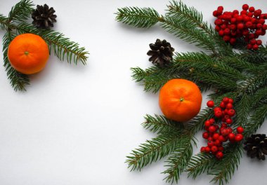 Noel doğal süsleri: köknar dalları, koniler, turuncu mandalinalar ve beyaz arka planda parlak kırmızı Rowan meyveleri. Tatillerin ruhu ve kokusu. Boşluğu kopyala.