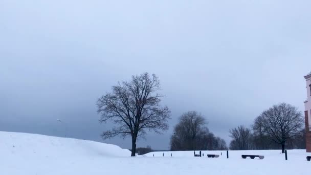 Région Grodno Biélorussie Décembre 2018 Château Mir Sous Neige Hiver — Video