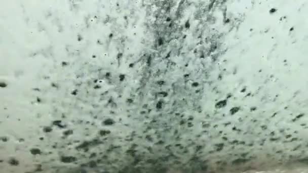 多色の泡はすぐに車のフロントガラスを流れる 泡はきれいな水で洗い流されます フロントガラスは透明になります 自動洗車機 — ストック動画