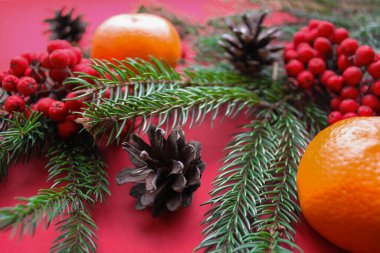 Noel ruhu, doğa dekorasyonları: köknar dalları, koniler, parlak kırmızı Rowan böğürtlenleri ve kırmızı arka planda mandallar.