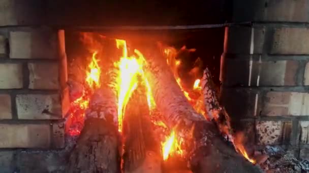 Obrovské Dřevo Podpal Celých Kmenů Stromů Hoří Kamnech — Stock video