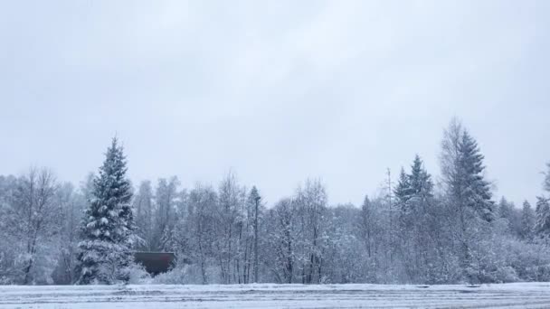 Winter Snowfall View Highway Trees Rare Trucks Cars Driving — Stock Video
