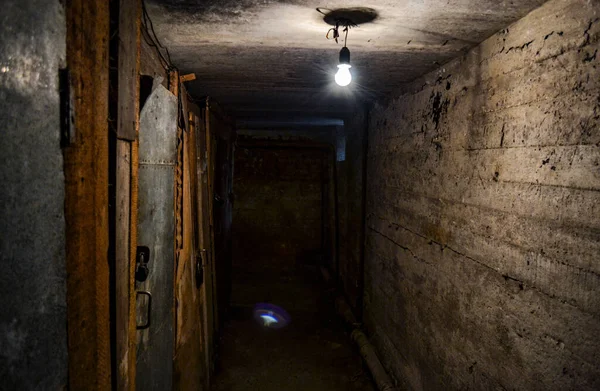 Terrível Corredor Concreto Escuro Porão Com Portas Trancadas Nas Laterais — Fotografia de Stock