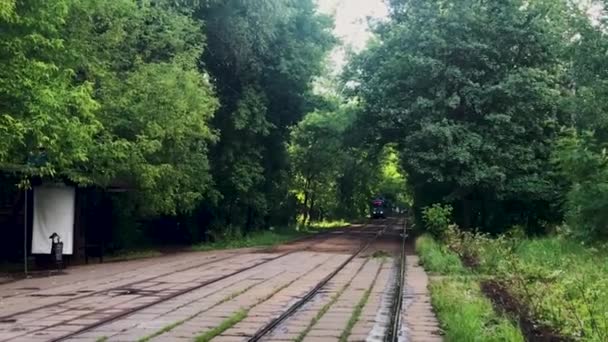 Bonde Azul Atravessa Túnel Árvores Verdes Arbustos Ferrovia Transporte Urbano — Vídeo de Stock
