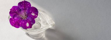 Mor benekli pankart, güneş ve gölgenin kenarındaki beyaz bir masada şeffaf bir kavanozdaki uzay Petunia çiçeği Bud 'ı andırıyor. Umut kavramı, güzellik, hayatın güneşli tarafı. Boşluğu kopyala.