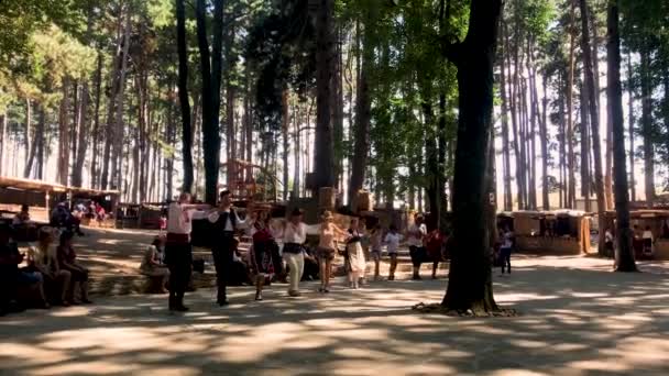 ブルガリア 2018年8月 民族衣装やカジュアルな服を着たブルガリア人は 森の中のクリアリングでフェアで民族舞踊を踊る 公正さを背景に — ストック動画