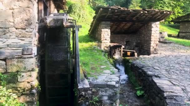 Oude Watermolen Het Bulgaarse Architectonische Etnografische Toeristische Complex Etar Het — Stockvideo