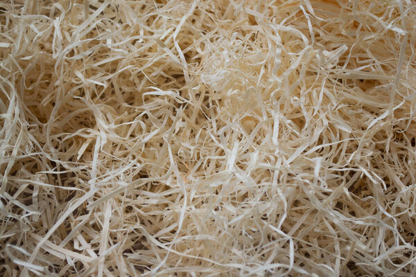 Thin swirling wood shavings, sawdust for filling parcels, stuffing old toys. Organic eco-friendly material. Abstract background.