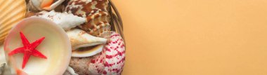 Güzel egzotik kabuklu bir pankart ve soldaki sepette bir deniz yıldızı. Turuncu arkaplan, kopyalama alanı. Seyahat konsepti, hediyelik eşya..