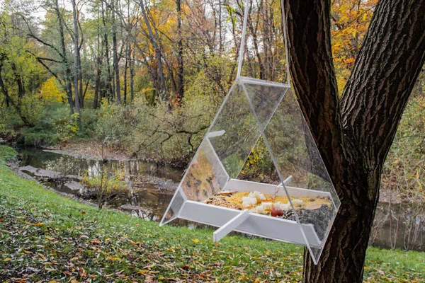 Ein Vogelfutterhäuschen Form Eines Hauses Mit Transparentem Dach Zum Füttern — Stockfoto