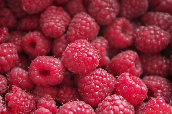 Large Ripe Bright Red Raspberries Background Copy Space Royalty Free Stock Photos