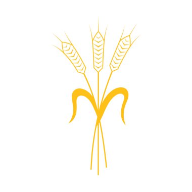 Buğday Kulağı, Arpa veya Çavdar vektörü görsel grafik simgesi