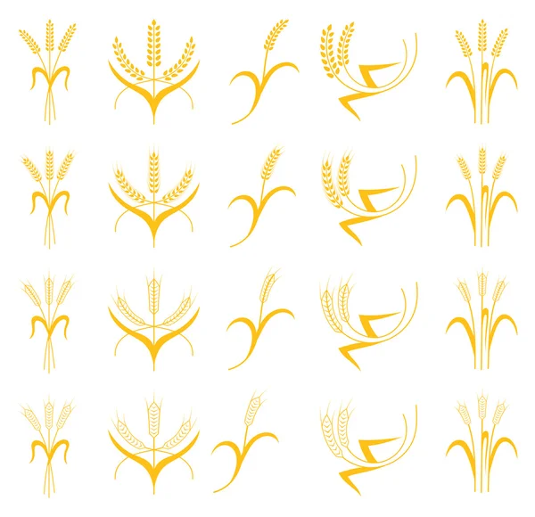 Orejas de trigo, cebada o centeno vector iconos gráficos visuales conjunto — Vector de stock