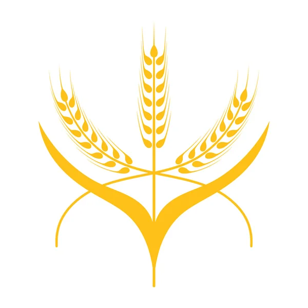 Orejas de trigo, cebada o centeno — Vector de stock