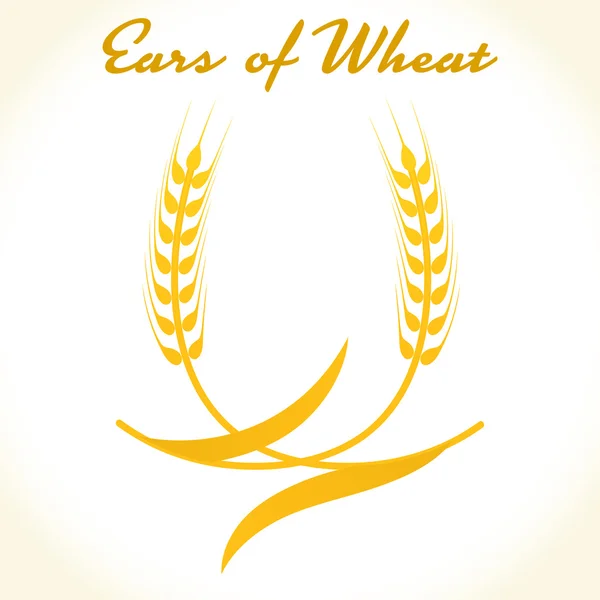 Wheat ears or rice icon. Crop, barley or rye symbol — Stock Vector