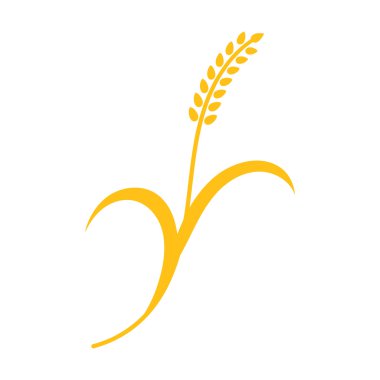 Kulakları buğday, arpa ve çavdar