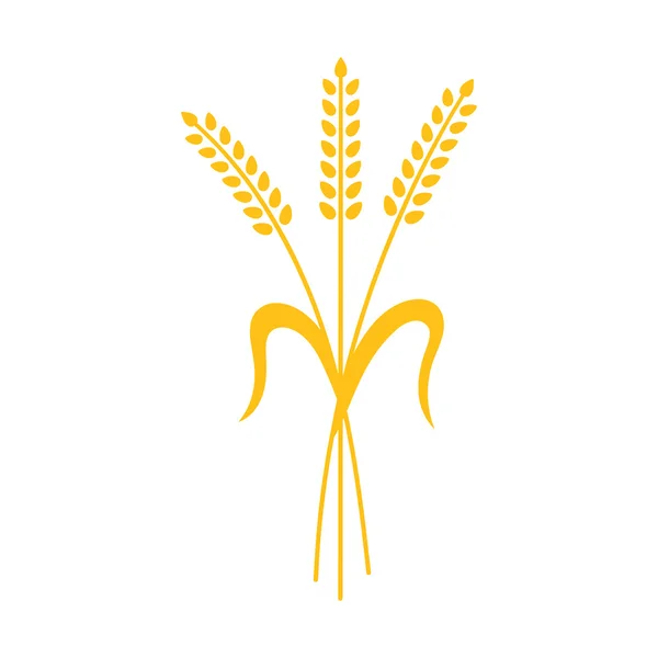 Orejas de trigo, cebada o centeno — Vector de stock