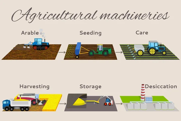 Illustration of the process growing and harvesting crops — Stock Vector