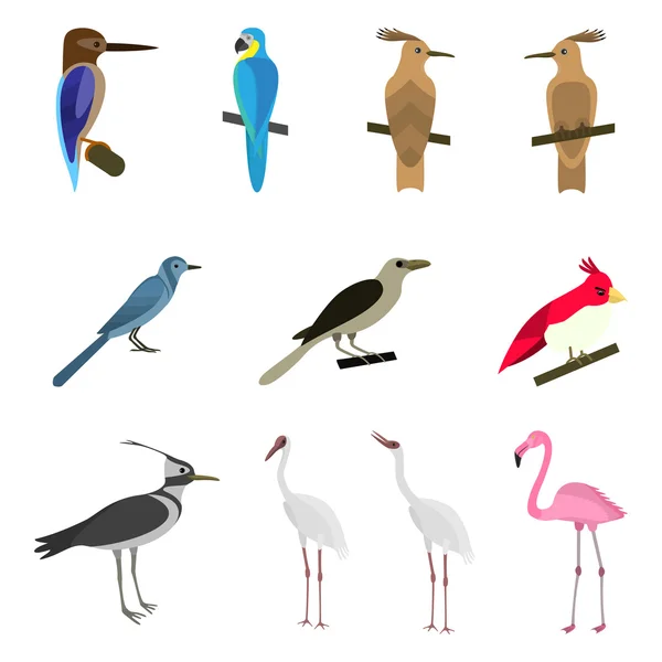 Ensemble de beaux oiseaux — Image vectorielle