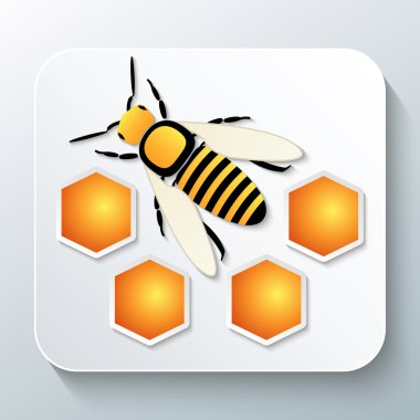 Arı ve gölge ile petek