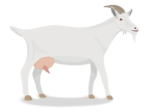 Goat standing up isolated on a white background — Stock Vector