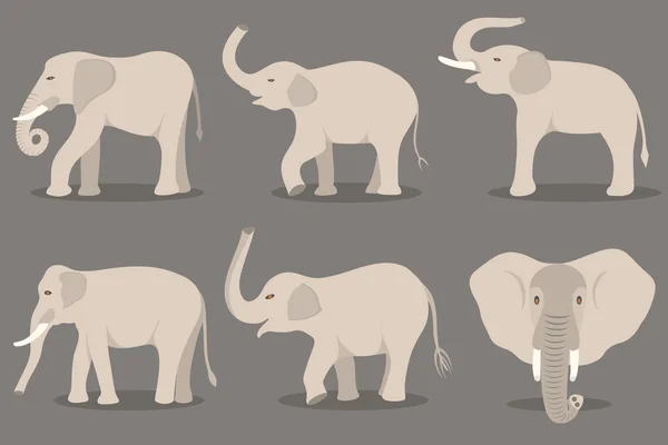 Conjunto de elefante blanco — Vector de stock