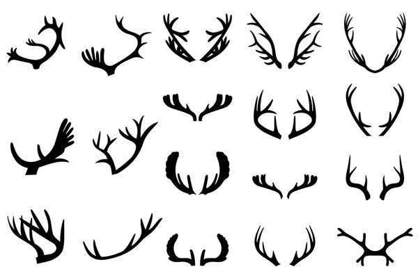 Collection of deer horns — Stock Vector