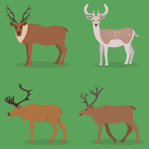 Collection of deer in a flat design — Stock Vector