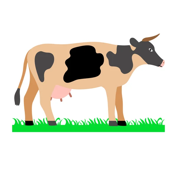 Cow on green field illustration — Stock Vector