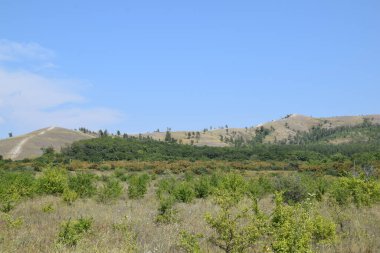 Samara Luka-Molodetsky Kurgan