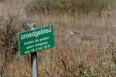 Ameland 2021, Hollanda metninde uyarı işareti: Üreme alanı, patikaların dışına çıkış yasak. Kuş yetiştirme alanı ve kumul doğa rezervi, sazlık yaka ve arka planda keskin olmayan kaz.