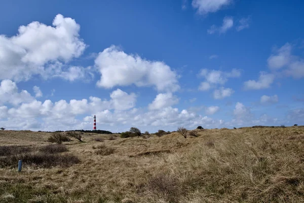 Kumsal çimenleri ve mavi gökyüzü olan kum vadisi ve arka planda klasik, tarihi, eski, kırmızı ve beyaz bir deniz feneri. Güneşli bir gün, Hollanda 'nın Ameland adasında çalkantılı bulutlar, Hollum, Nisan 2021