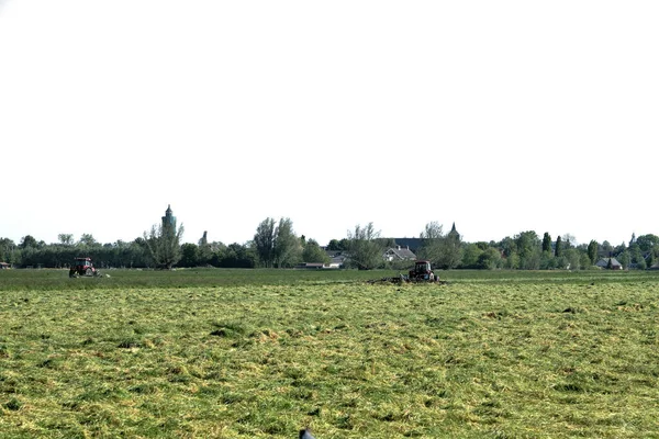 Leerdam, 1 juni 2021: Grasland met tractor en gras klaar voor teelt.Nederlandse boeren racen tegen de regen naar hooi, maai, hark en kuil.Alle boeren en familie zijn op het land om te werken — Stockfoto