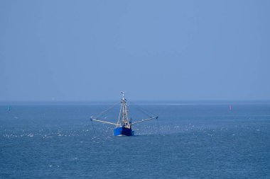 Ameland, Hollanda-Nisan 19.2021: Wadden Denizi 'nde balıkçı teknesi, ağlar ve martılar. Balıkçı çatışması kızışıyor: İngiliz, Fransız ve Hollandalı Kuzey Denizi ve elektrik darbesi balıkçılığı konusunda tartışıyor