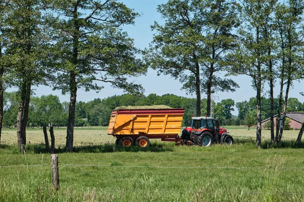 Tractor with silage trailer, freshly mown grassland and road with trees . Farm in the background and fence in the foreground. Dutch picture with a blue sky. Dronten, June 2021 — Stock Photo, Image