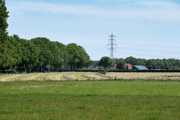 Dronten, 1 juni 2021: Grasland met tractormaaier en -hark, gras klaar voor teelt.Nederlandse boeren racen tegen de regen om hooi, maaien, harken en kuil.Alle boeren werken op het land — Stockfoto
