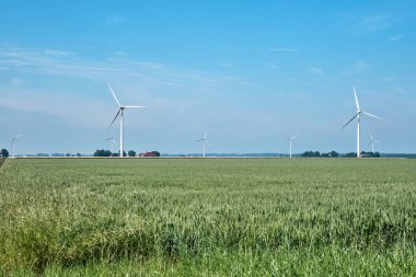 Flevo polder, Hollanda, 28 Haziran 2021, Arkasında tahıl tarlası, tarım arazisi, çiftlikler ve rüzgar türbinleri olan tipik Hollanda manzarası. Rüzgar türbini ve yeşil kalbe karşı artan protesto