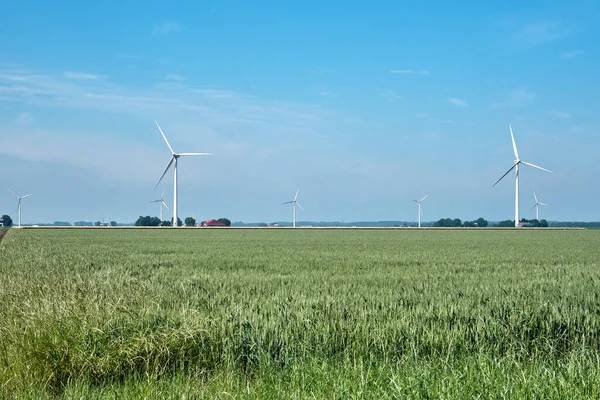 Flevo polder, Hollanda, 28 Haziran 2021, Arkasında tahıl tarlası, tarım arazisi, çiftlikler ve rüzgar türbinleri olan tipik Hollanda manzarası. Rüzgar türbini ve yeşil kalbe karşı artan protesto