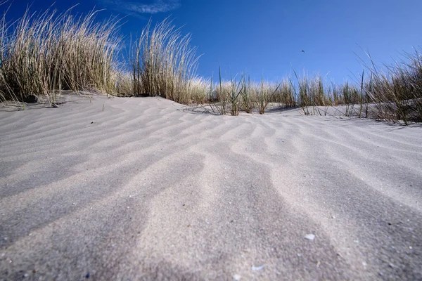 Holland dűnék fehér homokhullám mintával, strandfüvek a tengerparton, kék égbolttal, fehér felhőkkel. Hollandia, Ameland 2021 — Stock Fotó