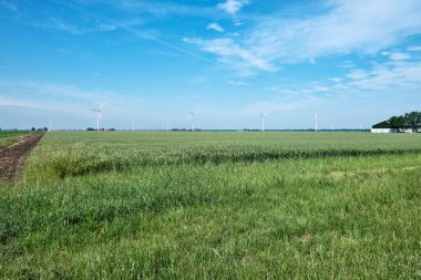 Flevo polder, Hollanda, 28 Haziran 2021, Arkasında tahıl tarlası, tarım arazisi, çiftlikler ve rüzgar türbinleri olan tipik Hollanda manzarası. Rüzgar türbini ve yeşil kalbe karşı artan protesto