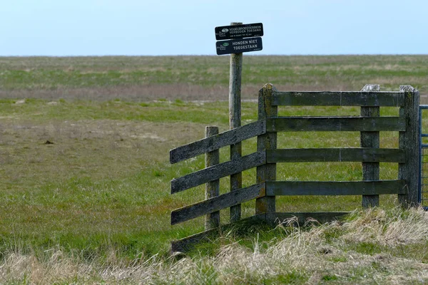 Çit doğa rezervi, Noard-Fryslan Butendyks, Friesland, Holwerd, Hollanda. Hollandaca 