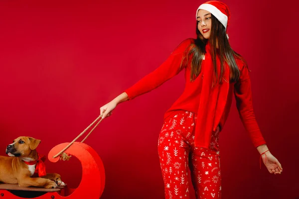 Девушка Праздничной Пижаме Шляпе Санты Едет Рождественском Подарке Собака Санях — стоковое фото